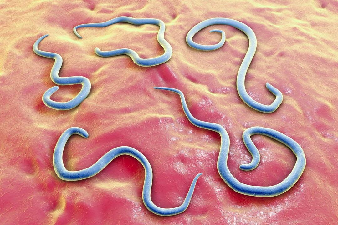 parazitické červy v ľudskom tele